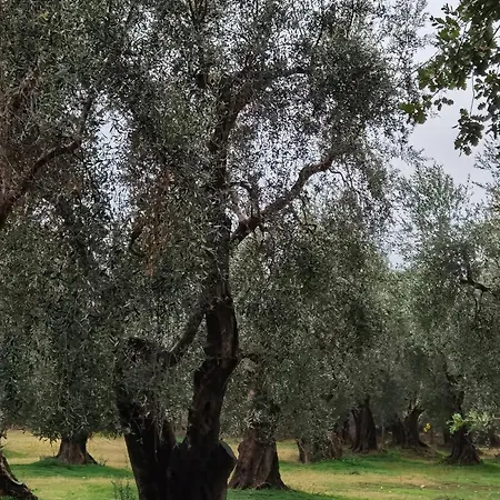 Bed & Breakfast Dimora Garibaldi 4*