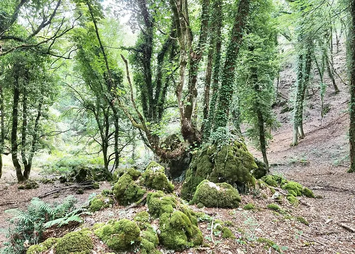 Dimora Garibaldi Frühstückspension