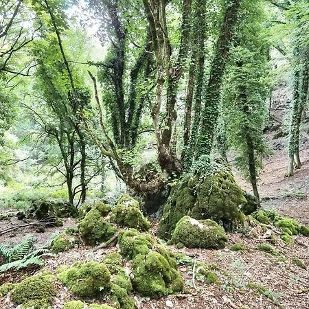 Dimora Garibaldi Oda ve Kahvaltı