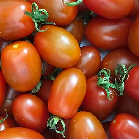 Dimora Garibaldi Oda ve Kahvaltı 4*