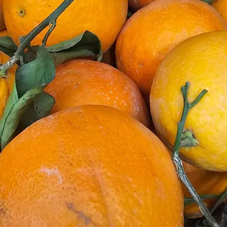 Dimora Garibaldi